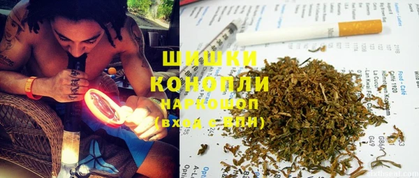 амф Володарск