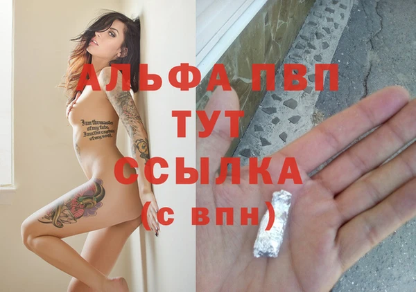 тгк Верея
