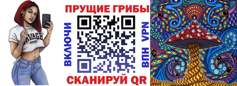 Псилоцибиновые грибы Psilocybe  blacksprut сайт  Славянск-на-Кубани  дарнет шоп 