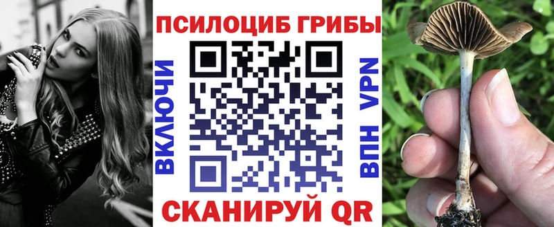 Псилоцибиновые грибы мухоморы Славянск-на-Кубани